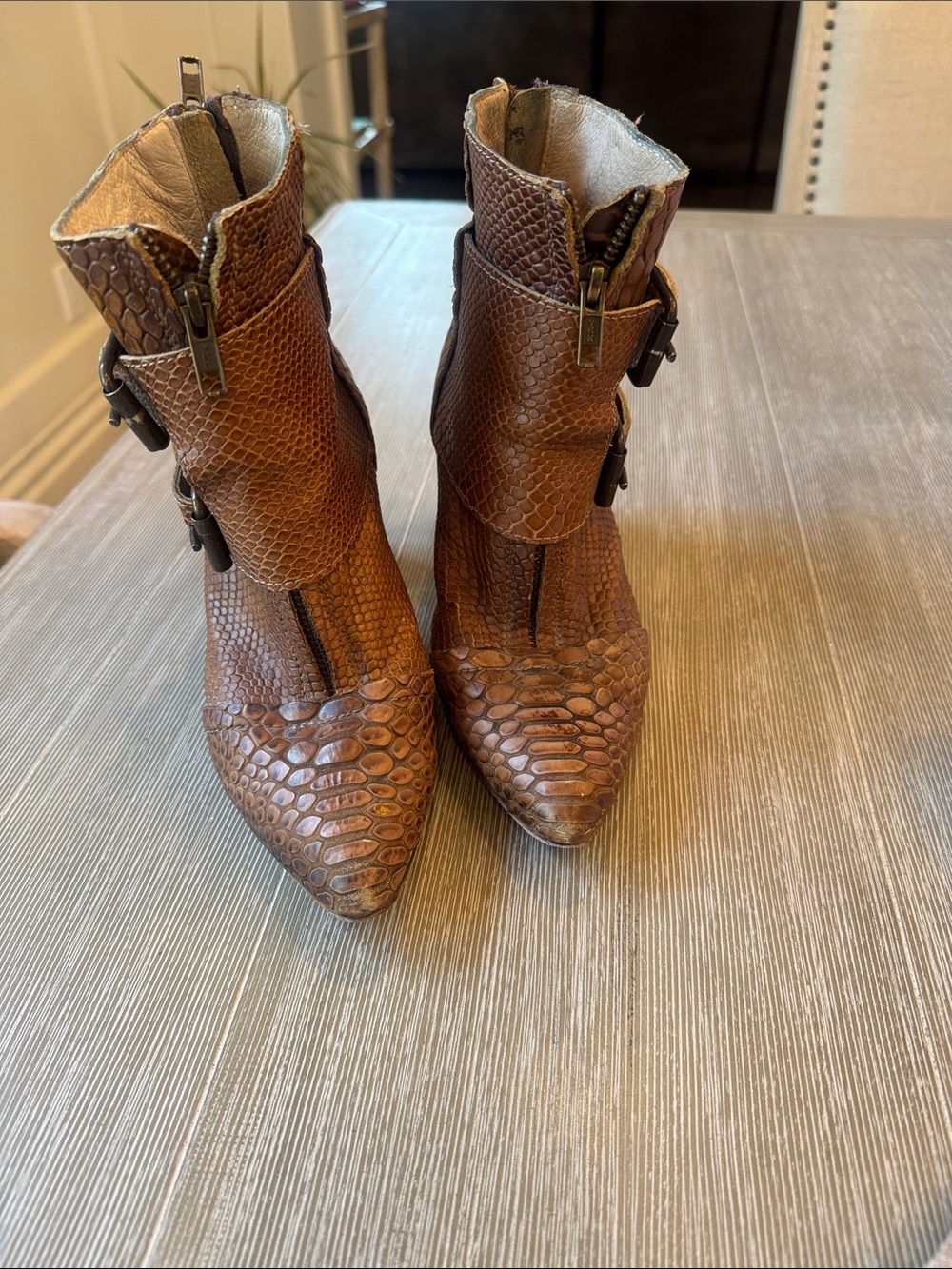 Freebird by Steven Brown Snake-Embossed Pointed Ankle Boots Joey
